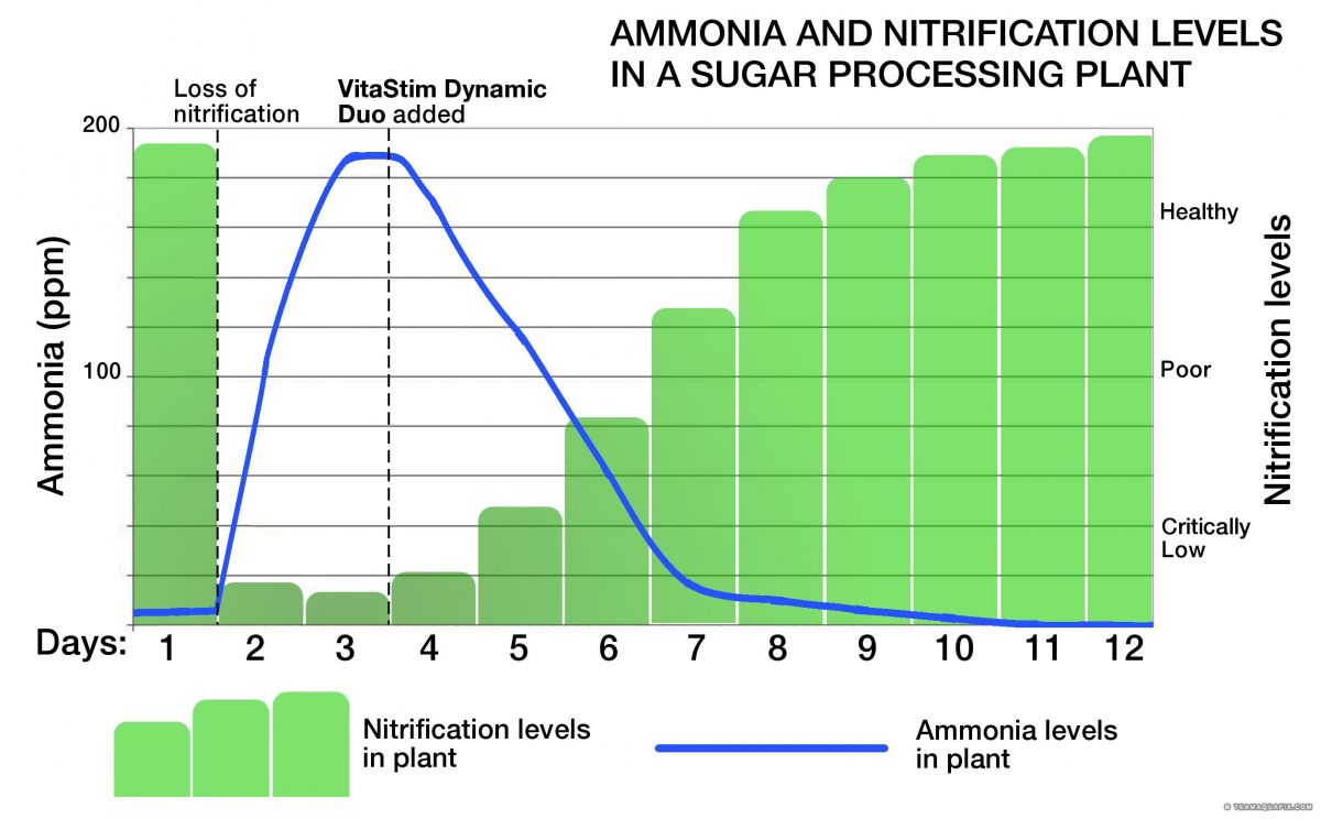 vi sinh xu ly ammonia nito micro n treat