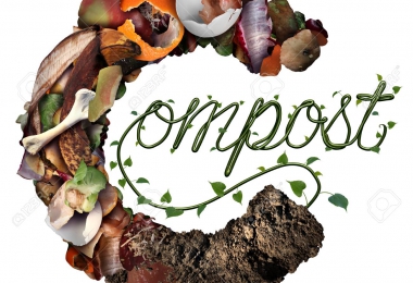 Hướng dẫn ủ phân compost bằng công nghệ vi sinh Mỹ